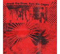 VARIOUS ARTISTS - BREAK THE GLASS, BURN THE CAGE (THE SOUND OF INDIE PUNK ROCK)