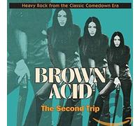 Various Artists - Brown Acid: Second Trip
