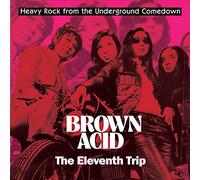 Various Artists - Brown Acid: The Eleventh Trip [VINYL]