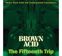 VARIOUS ARTISTS - BROWN ACID THE FIFTEENTH TRIP - Vinyl Record - M3z