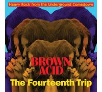 VARIOUS ARTISTS - BROWN ACID - THE FOURTEENTH TRIP - CD - P3333z