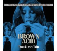 Various Artists Brown Acid: The Sixth Trip (Vinyl) 12" Album (US IMPORT)