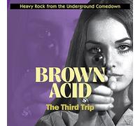 Various Artists - Brown Acid: The Third Trip
