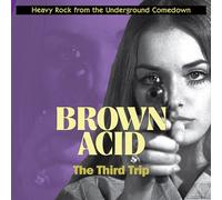 Various Artists - Brown Acid: The Third Trip [VINYL]