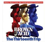 Various Artists - Brown Acid: The Thirteenth Trip