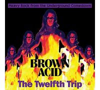 Various Artists - Brown Acid: The Twelfth Trip [VINYL]