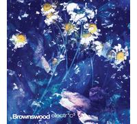 Various Artists - Brownswood Electr*C 3