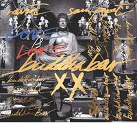 VARIOUS ARTISTS - BUDDHA BAR XX