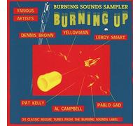 Various Artists - Burning Up - New CD - Z4z