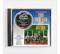 Various Artists - Chicago Hot Bands 1924-1928
