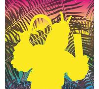 Various Artists - Chico Tropico - Relacion De Riesgo [VINYL]