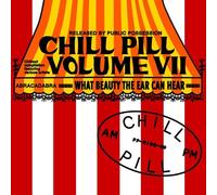 Various Artists - Chill Pill Volume VII