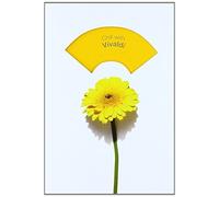 VARIOUS ARTISTS Chill With Vivaldi (CD) Album (US IMPORT)