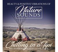 Various Artists - Chilling In A Tipi
