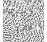 Various Artists - Crossing Lines II