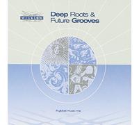 Various Artists - Deep Roots and Future Grooves: a Global Music Mix