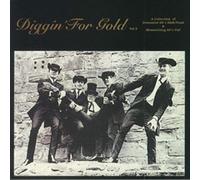 Various Artists - Diggin For Gold Volume 2 [VINYL]