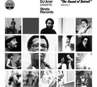 VARIOUS ARTISTS - DJ AMIR PRESENTS STRATA REC - Vinyl Record - J3z