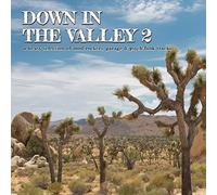 Various Artists - Down In The Valley 2 [VINYL]