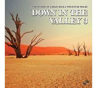 Various Artists - Down in the Valley 3 [VINYL]
