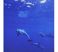 Various Artists - Dreaming Blue/Various [Import]