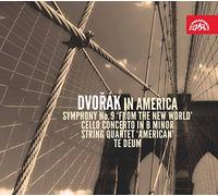 Various Artists - Dvorak In America