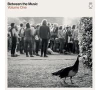 VARIOUS ARTISTS - END OF THE ROAD PRESENTS: BETWEEN THE MUSIC (WHITE COLOURED VINYL) [VINYL]