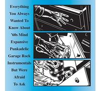 Various Artists - Everything You Always Wanted To Know About '60s Mind Expansive Punkadelic Garage Rock Instrumentals But Were Afraid To Ask