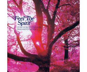 Various Artists - Feel The Spirit: Other Worldly Folk Music Gems And Psychedelics