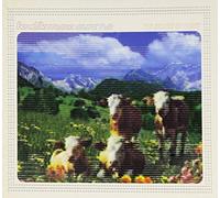 Various Artists - Fenetik Music Volume 2 - The Sounds Of Music