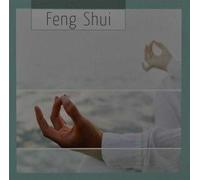 Various Artists - Feng Shui