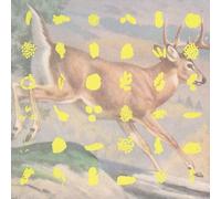 Various Artists - Fields And Streams