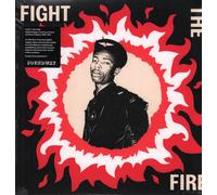 Various Artists : Fight the Fire: Digital Reggae, Conscious Roots and Dub in