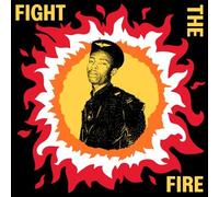 Various Artists : Fight the Fire: Digital Reggae, Conscious Roots and Dub in