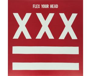 Various Artists Flex Your Head: A DC Sampler (Vinyl) 12" Album (US IMPORT)
