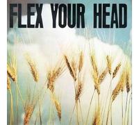 Various Artists - Flex Your Head [New Vinyl LP] Mp3 Download