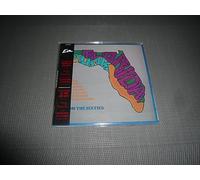 Various Artists - Florida Punk From The 60s Replica]