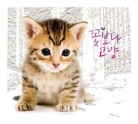 Various Artists - Flowers Over Cat