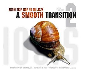 Various Artists - From Trip Hop To Nu Jazz
