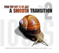 Various Artists - From Trip Hop To Nu Jazz