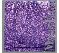 Various Artists - Fujieda: Patterns of Plant