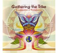 Various Artists - Gathering the Tribe