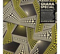 Various Artists - Ghana Special 2: Electronic Highlife & Afro Sounds in the Diaspora, 1980-93 [VINYL]