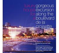 Various Artists - Gorgeous Excursion Along..