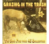 Various Artists - Grazing In The Trash Vol.1: The Soul Fire Funk 45 Collection