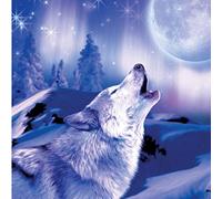 Various Artists - Greeting Card - Wolf Music