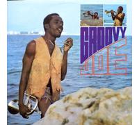 Various Artists - Groovy Joe [VINYL]