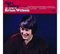 Various Artists Here Today: The Songs of Brian Wilson (Vinyl) (US IMPORT)