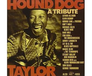 Various Artists - Hound Dog Taylor: A Tribute