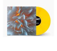 Various Artists - House of LSGRV: 2024 Loosegroove Records Compilation [Vinyl LP] [VINYL]